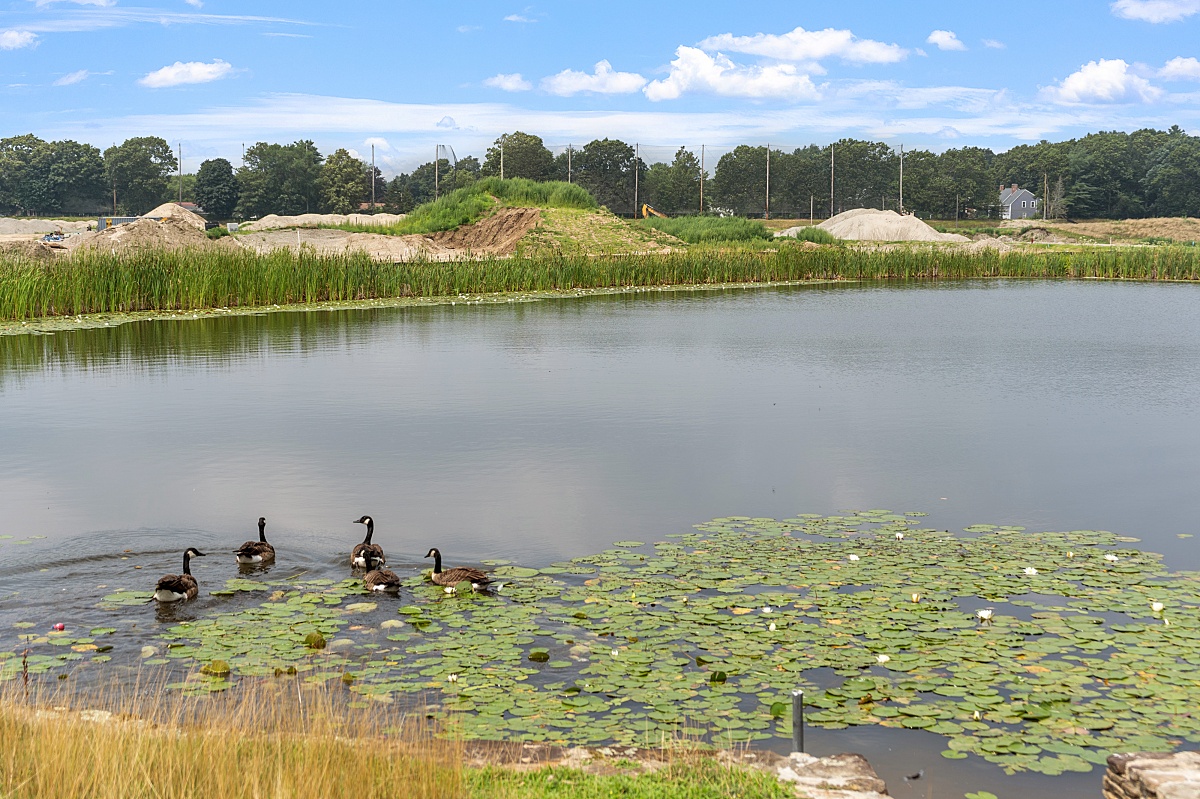 Bungay Brook Bellingham Easy Lifestyle Condos Near Me Residential Developers in MA